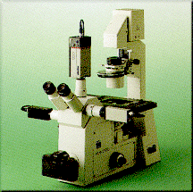 Axiovert 135