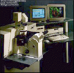 LSM 410