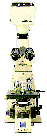 MC 100 SPOT