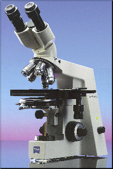 Standard 25