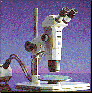 Stemi SV 11 APO