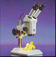 Stemi SV 6