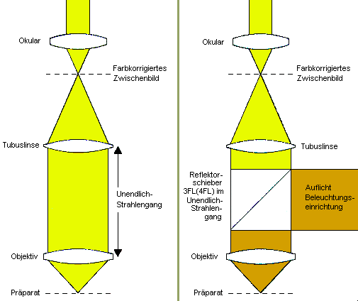 ICS-Optik