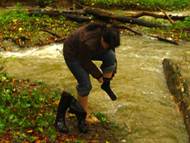Beschreibung: DSC05880-kl
