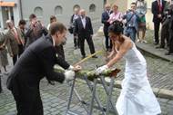 Beschreibung: DSC07856-kl