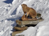 Stubai2005-137