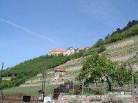 2007-05-19-Weinwanderung-020