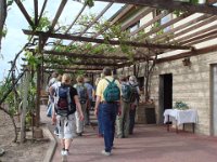2007-05-19-Weinwanderung-033