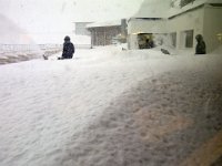 088  und wir dachten, dass es gestern schon viel war...