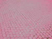 IMG 3414  "Roter Teppich!" ;-)