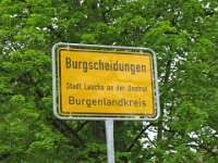 IMG 3551