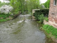 IMG 3675  wildes Wasser