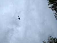 IMG 3763  Der größte Doppeldecker (AN2) der Welt (eigentlich Anderthalbdecker, weil untere Fläche kleiner) grüßte unsere Veranstaltung vom Himmel.