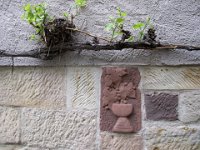 IMG 3767