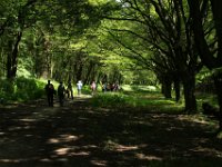 048  Wanderallee
