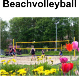 Beachvolleyball